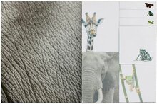 GreenPicnic - Milieuvriendelijke sticky notes met natuurfoto van National Geographic