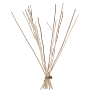 We Love The Planet navulling Kajute stokjes - diffuser branches