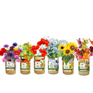 Greenpicnic kweektuintjes van Superwaste Fairtrade