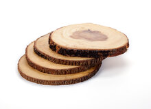 FairTrade, green picnic,  onderzetter, boomstam