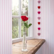 Vilten rode roos van Sjaal met Verhaal