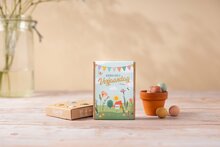 Blossombs Bloemen voor je verjaardag