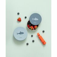 Fresk Shark snackbox set van RVS