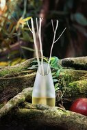 We Love The Planet vaasje van gerecycled glas voor diffuser - GreenPicnic