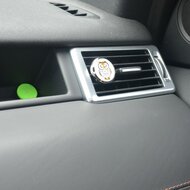 Auto geurverspreider voor etherische olie Greenpicnic