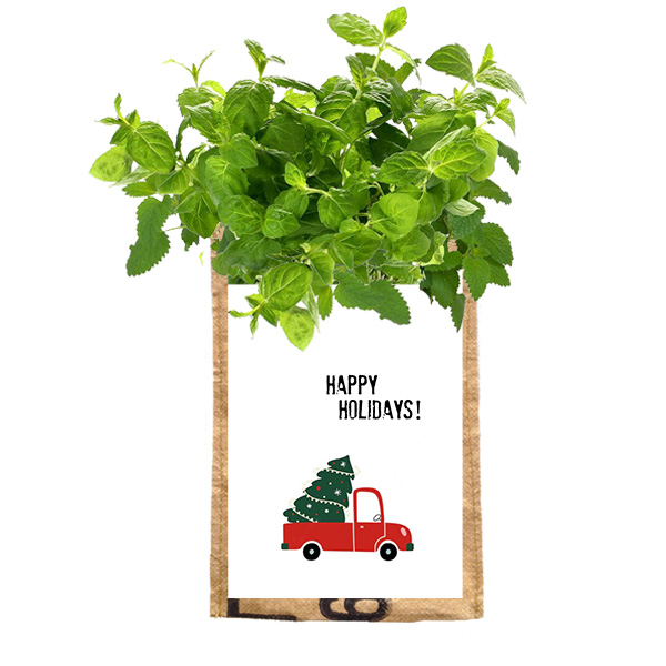 Superwast let it grow hangtuintje Happy Holidays Greenpicnic