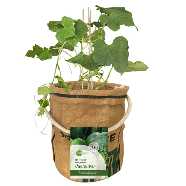 Superwaste komkommer kweek pot Greenpicnic