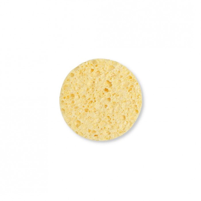 Webshop GreenPicnic - Zachte wattenschijf spons van plantaardig materiaal, A Slice of Green