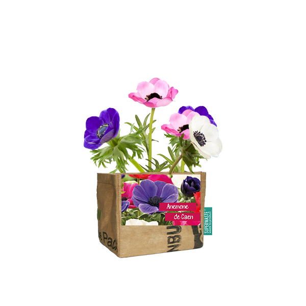 Superwaste Let it Grow Anemone bij Greenpicnic