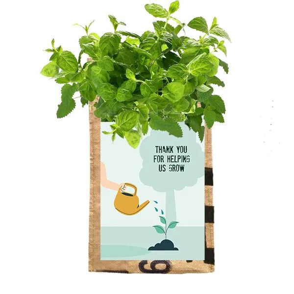 Superwaste hangtuin Thank You for helping is grow Greenpicnic