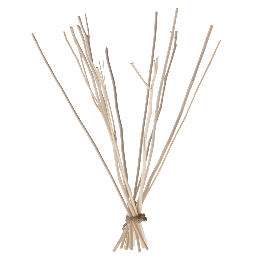 We Love The Planet navulling Kajute stokjes - diffuser branches