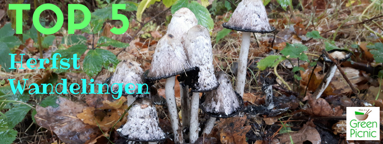 Top 5 Herfst wandelingen Top 5 Herfst wandelingen