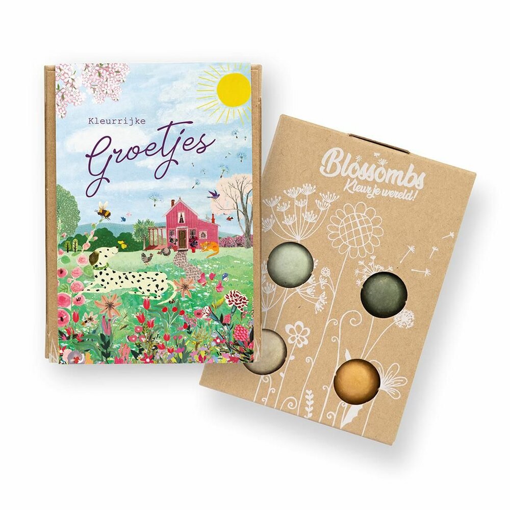 Blossombs Giftbox mini Kleurrijke groetjes - set van 4 Bloembommetjes 