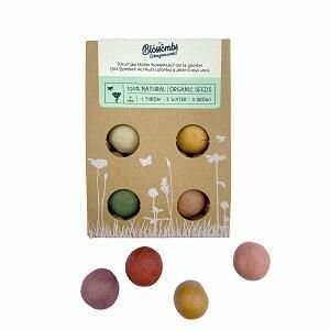 Blossombs Kleurrijke Bloembommetjes - Set van 4