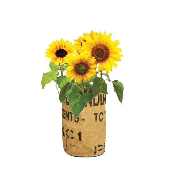 Superwaste Let it Grow Sunflowers - kweektuin Zonnebloemen Superwaste Let it Grow Sunflowers - kweektuin Zonnebloemen