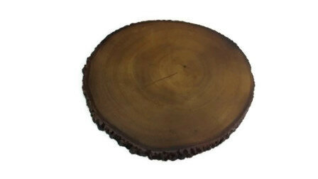 FairTrade boomstam onderzetter Medium FairTrade boomstam onderzetter Medium