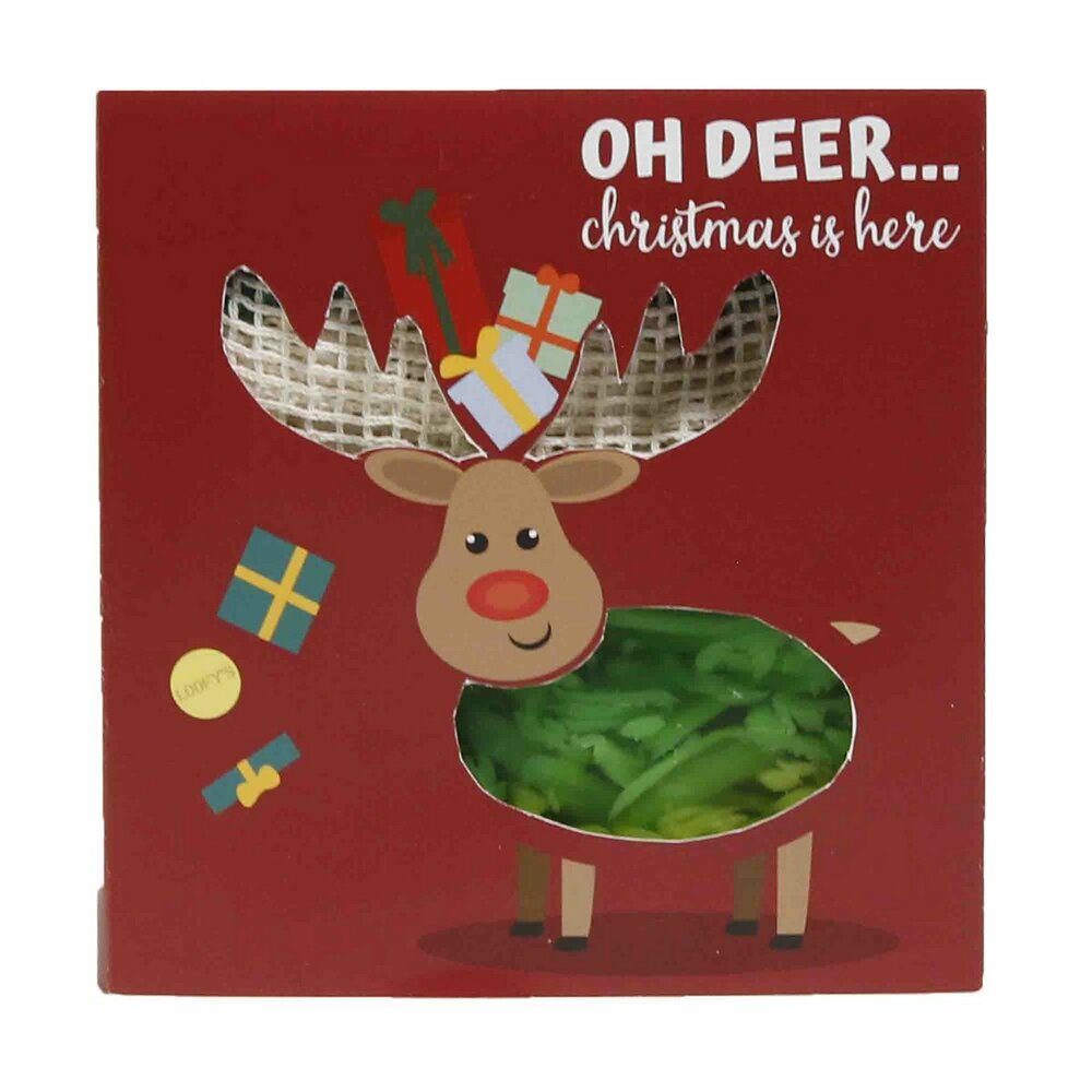 Loofy's Giftbox Oh Deer - Bodybar en zeepzakje in kerstcadeaudoosje