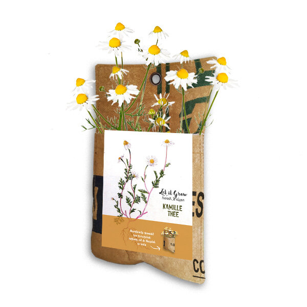 Superwaste Hang Kweektuin van gerecyclede theezakken - Let it Grow Kamille