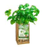 Superwaste Kweektuin, van gerecyclede teabags - Let it Grow Basilicum Superwaste Kweektuin, van gerecyclede teabags - Let it Grow Basilicum