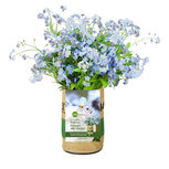 Superwaste Let it Grow kweektuin van gerecycled materiaal - Vergeet-Me-Nietjes Superwaste Let it Grow kweektuin van gerecycled materiaal - Vergeet-Me-Nietjes