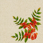 Naturals servet Rowan Berry, 33x33cm gerecycled/ongebleekt Naturals servet Rowan Berry, 33x33cm gerecycled/ongebleekt
