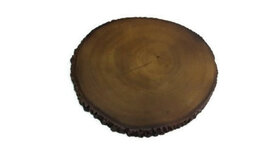 FairTrade boomstam onderzetter Medium FairTrade boomstam onderzetter Medium