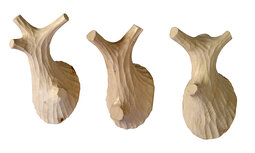 Puhlmann Wooden Twigs, set van 3 naturel houten wandhaken Puhlmann Wooden Twigs, set van 3 naturel houten wandhaken