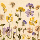 Eco servetten 33x33cm van gerecycled/ongebleekt papier - Pressed Flowers Eco servetten 33x33cm van gerecycled/ongebleekt papier - Pressed Flowers
